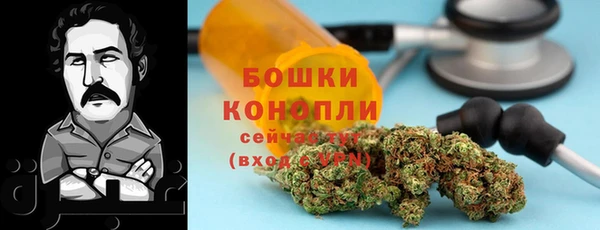 2c-b Алзамай