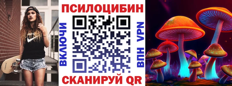 Псилоцибиновые грибы Cubensis гидра онион Нефтекумск наркота